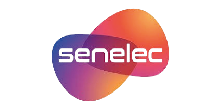 Clients-CMG_SENELEC.png